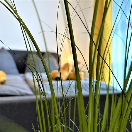 Gemuetliches Studio Im Bayerwald +Pool +Sauna +Wifi Zwiesel Zewnętrze zdjęcie