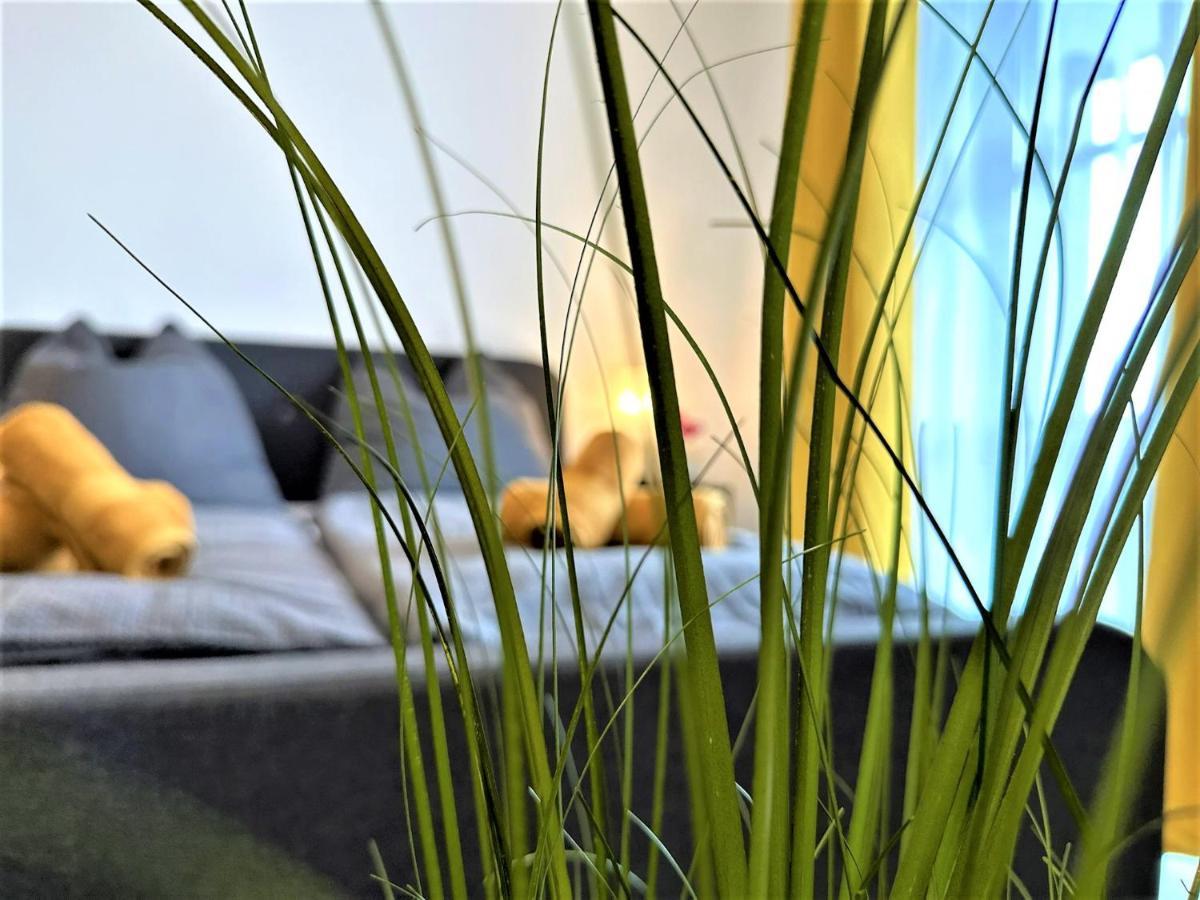 Gemuetliches Studio Im Bayerwald +Pool +Sauna +Wifi Zwiesel Zewnętrze zdjęcie
